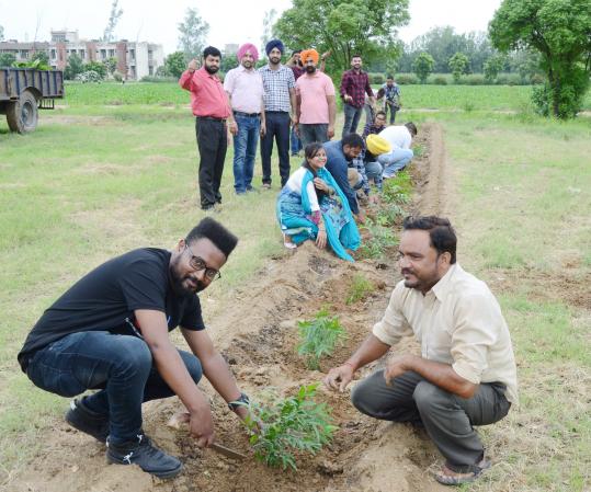 Vet Varsity students dedicates Plantation Drive to Guru Nanak Sahib anniversary
